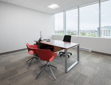 Load image into Gallery viewer, Olé