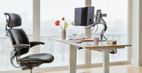 Ergonomic Accessories