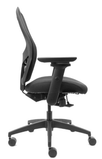 ecoCentric Mesh Boardroom