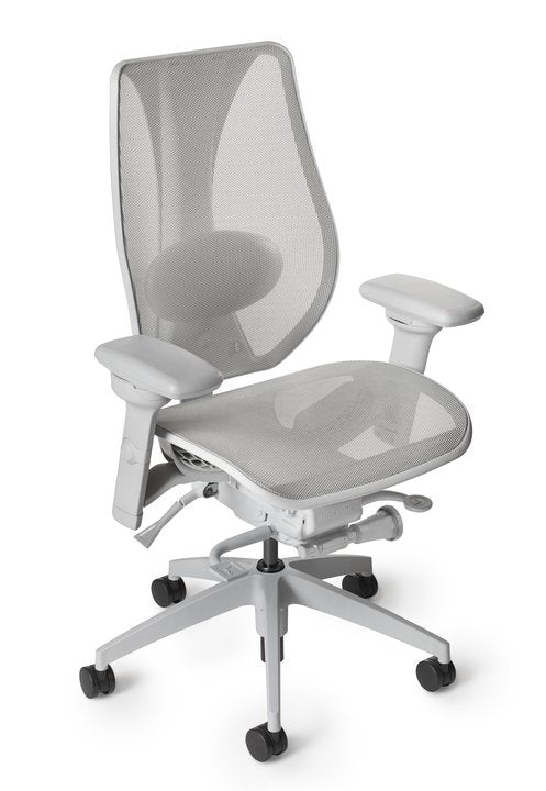 tCentric All Mesh