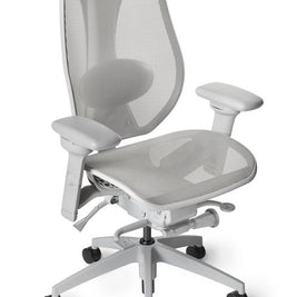 tCentric All Mesh