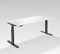 Quick Ship Electric Height Adjustable Table