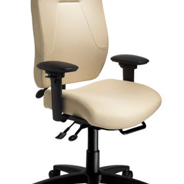 eCentric Executive