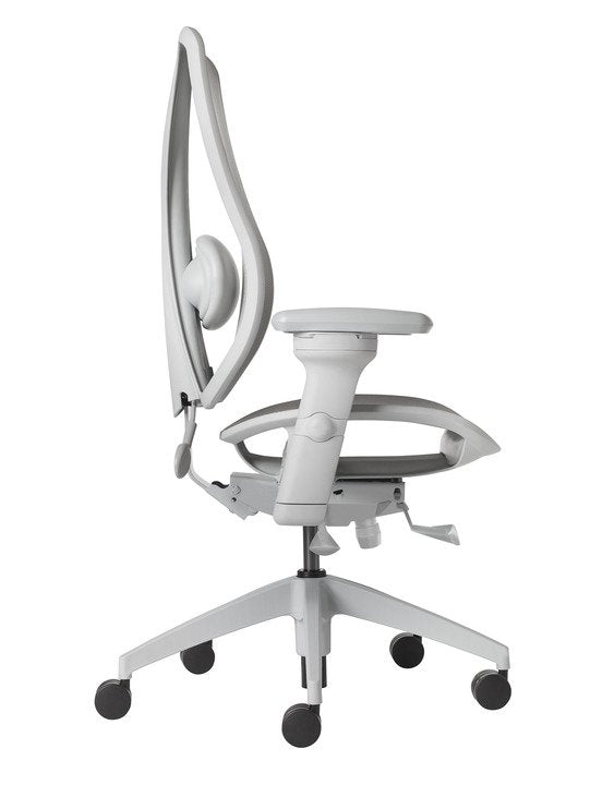 tCentric All Mesh