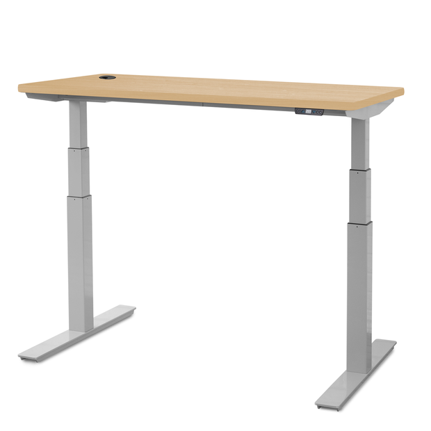 Quick Ship Electric Height Adjustable Table